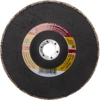 Круг лепестковый торцевой "БАЗ" для шлифования, тип КЛТ 1, KK19XW, зерно-электрокорунд нормальный, P40, 180 х 22 мм 36563-180-40
